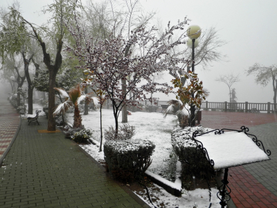 Mañana de primavera rara
