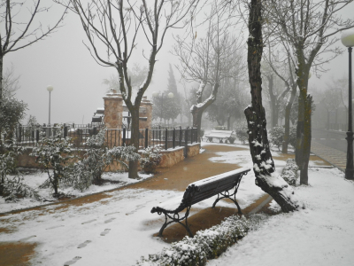 Paseo del Norte en Marzo
Una mañana de Primavera.21-3-2012
