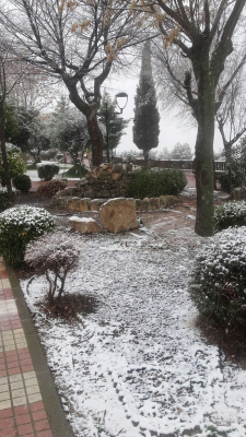 Nevada del 7 de enero 2018 en el paseo del norte
