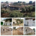 20161202_222000-COLLAGE.jpg